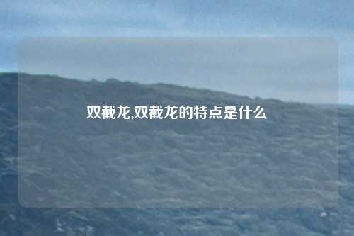双截龙,双截龙的特点是什么