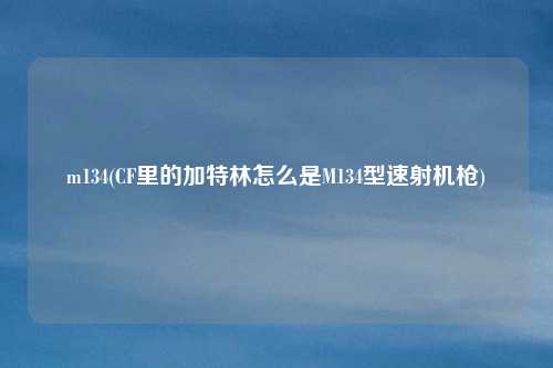 m134(CF里的加特林怎么是M134型速射机枪)