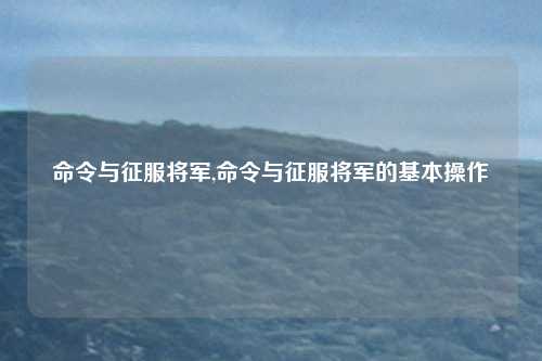 命令与征服将军,命令与征服将军的基本操作