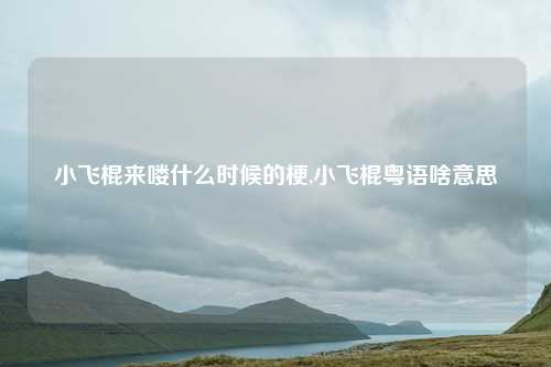 小飞棍来喽什么时候的梗,小飞棍粤语啥意思