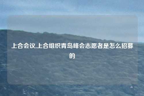 上合会议,上合组织青岛峰会志愿者是怎么招募的