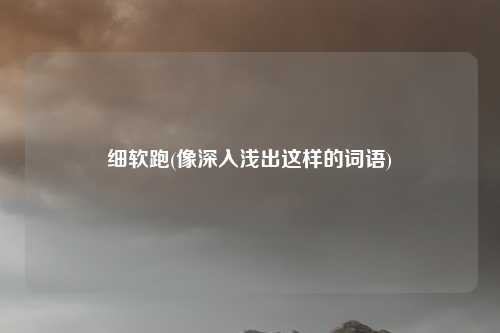 细软跑(像深入浅出这样的词语)