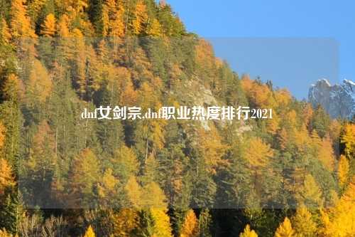 dnf女剑宗,dnf职业热度排行2021
