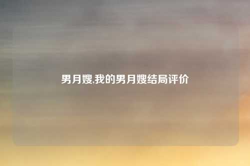 男月嫂,我的男月嫂结局评价