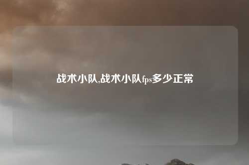 战术小队,战术小队fps多少正常