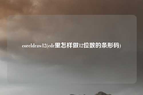 coreldraw12(cdr里怎样做12位数的条形码)