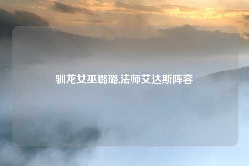 驯龙女巫璐璐,法师艾达斯阵容