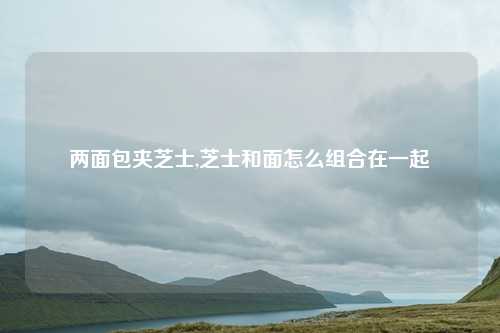 两面包夹芝士,芝士和面怎么组合在一起