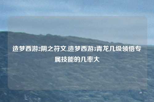 造梦西游2阴之符文,造梦西游3青龙几级领悟专属技能的几率大