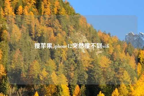 搜苹果,iphone12突然搜不到wifi