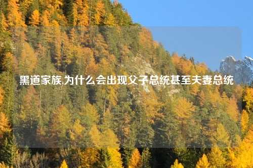 黑道家族,为什么会出现父子总统甚至夫妻总统