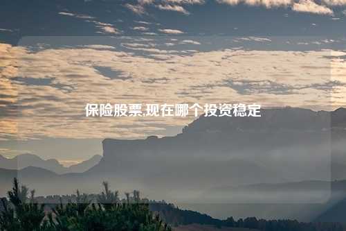 保险股票,现在哪个投资稳定