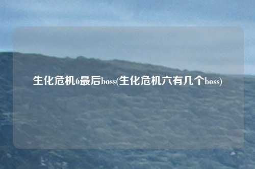 生化危机6最后boss(生化危机六有几个boss)