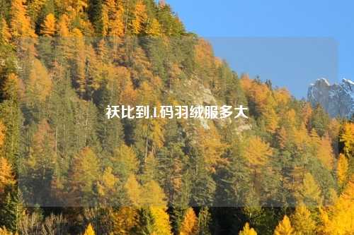 袄比到,L码羽绒服多大