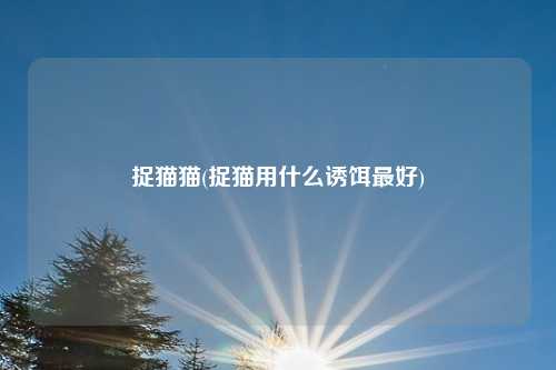 捉猫猫(捉猫用什么诱饵最好)