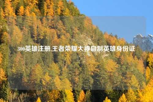 300英雄注册,王者荣耀大神自制英雄身份证