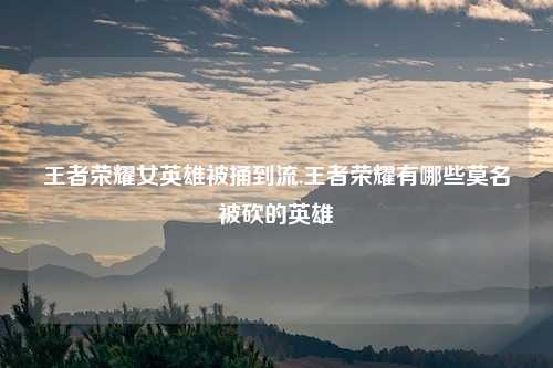 王者荣耀女英雄被捅到流,王者荣耀有哪些莫名被砍的英雄