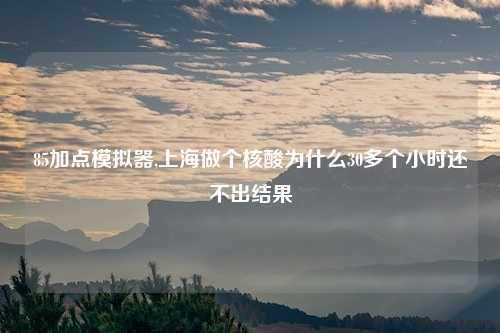 85加点模拟器,上海做个核酸为什么30多个小时还不出结果