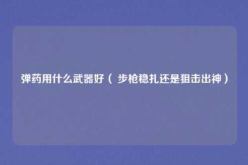弹药用什么武器好( 步枪稳扎还是狙击出神)