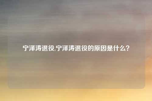 宁泽涛退役,宁泽涛退役的原因是什么？