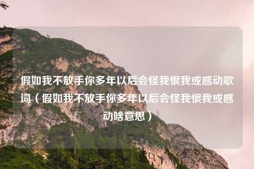 假如我不放手你多年以后会怪我恨我或感动歌词(假如我不放手你多年以后会怪我恨我或感动啥意思)
