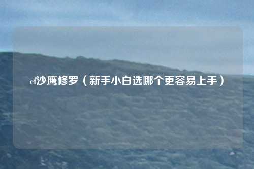 cf沙鹰修罗(新手小白选哪个更容易上手)