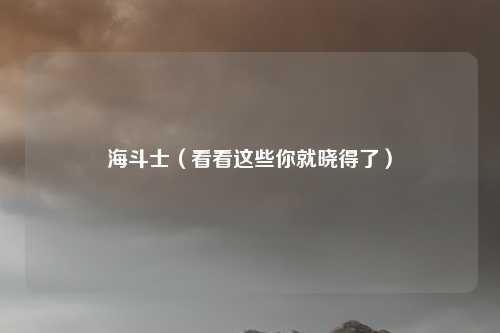 海斗士(看看这些你就晓得了)