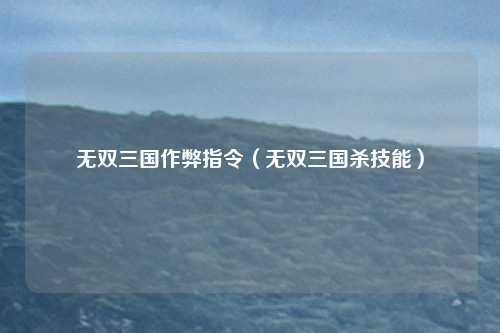 无双三国作弊指令(无双三国杀技能)