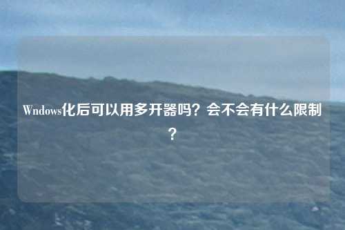 Wndows化后可以用多开器吗?会不会有什么限制?
