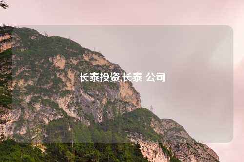 长泰投资,长泰 公司