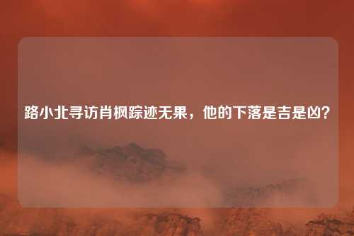 路小北寻访肖枫踪迹无果,他的下落是吉是凶?