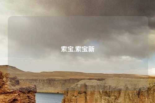 索宝,索宝新