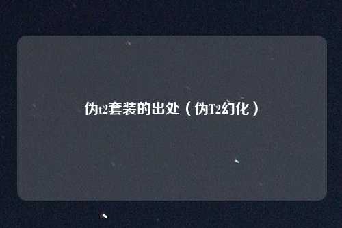 伪t2套装的出处(伪T2幻化)