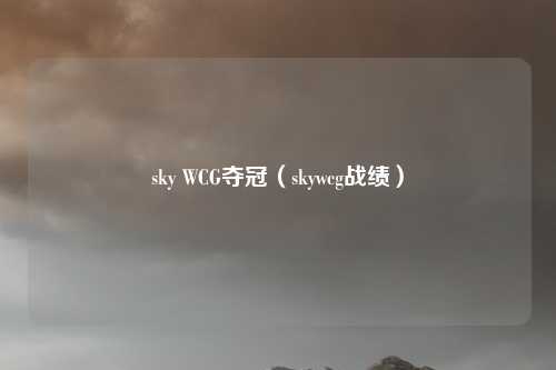 sky WCG夺冠(skywcg战绩)