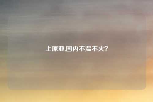 上原亚,国内不温不火?