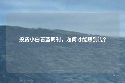 投资小白看蓝周刊,如何才能赚到钱?