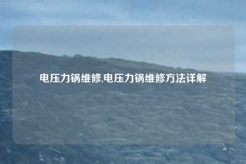 电压力锅维修,电压力锅维修方法详解