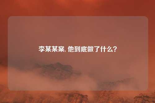 李某某案, 他到底做了什么？