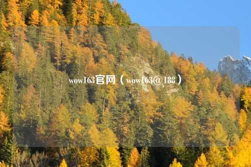 wow163官网(wow163@188)