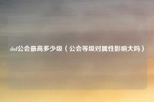 dnf公会最高多少级(公会等级对属性影响大吗)