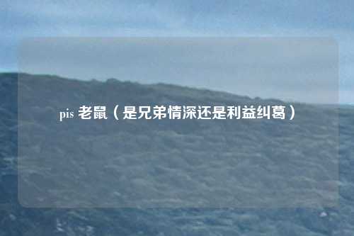 pis 老鼠(是兄弟情深还是利益纠葛)