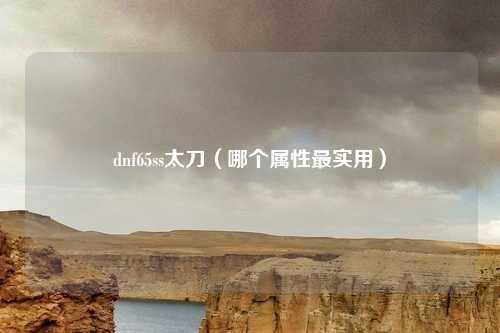 dnf65ss太刀(哪个属性最实用)