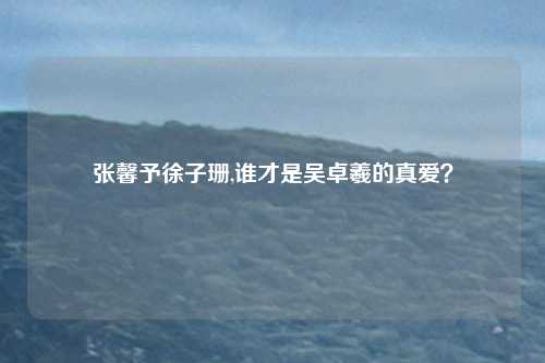张馨予徐子珊,谁才是吴卓羲的真爱？