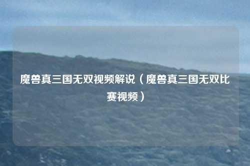 魔兽真三国无双视频解说(魔兽真三国无双比赛视频)