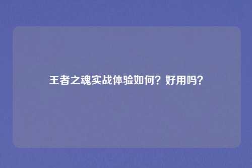 王者之魂实战体验如何?好用吗?
