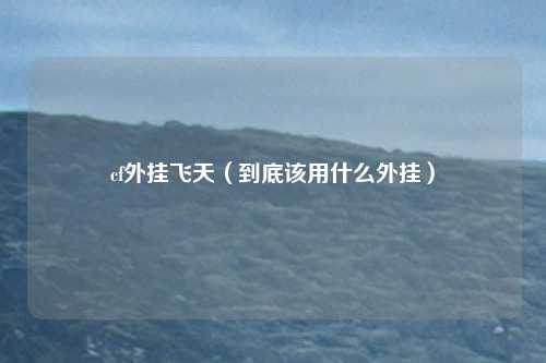 cf外挂飞天(到底该用什么外挂)