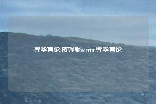 辱华言论,树妮妮serrini辱华言论