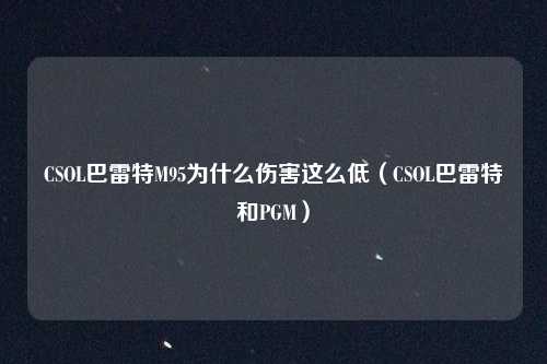 CSOL巴雷特M95为什么伤害这么低(CSOL巴雷特和PGM)