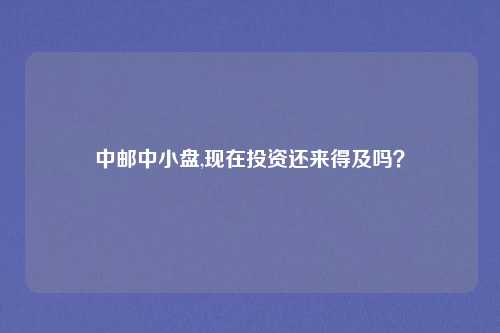 中邮中小盘,现在投资还来得及吗？