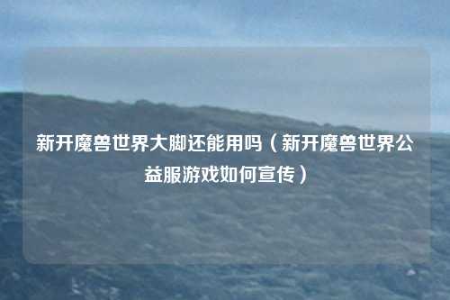 新开魔兽世界大脚还能用吗(新开魔兽世界公益服游戏如何宣传)